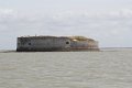 (64) Forts Enet - Boyard - Ile Aix